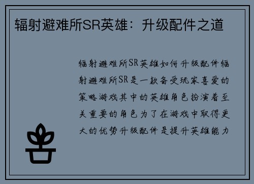 辐射避难所SR英雄：升级配件之道